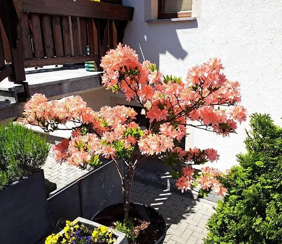 Celina Отель типа 