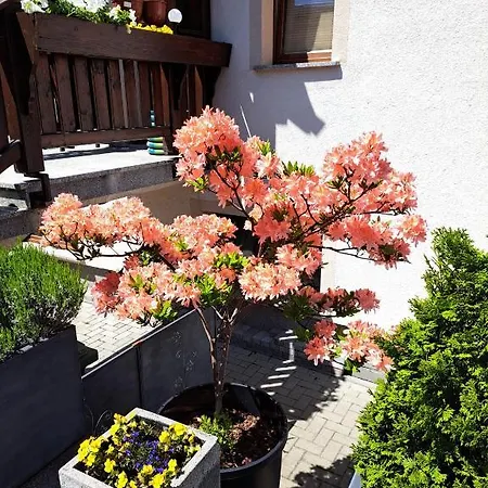 Celina Отель типа 